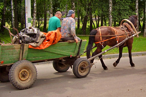 Большая телега плоская большая